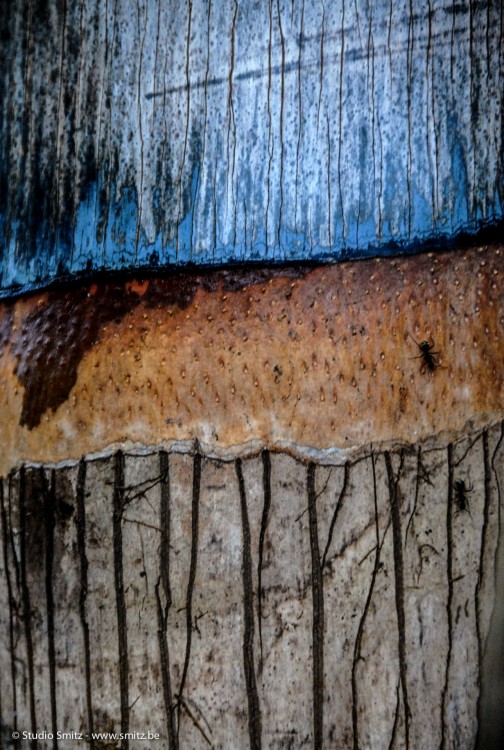 Fotostudio Smitz - Griet Lievens